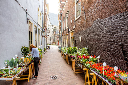 Morning view on the narrow street with flowers in Amsterdam city