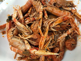 langoustines a la sauce tomates