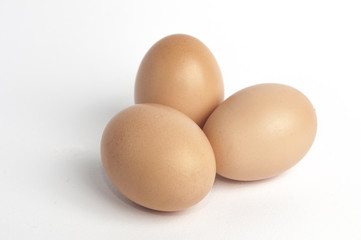 egg