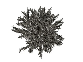 3d rendering of a silver tree isolated on a white background