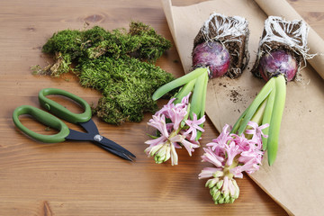 Hyacinth flowers on table