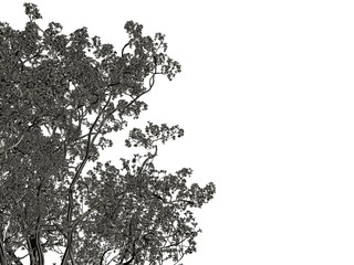 3d rendering of a silver tree isolated on a white background