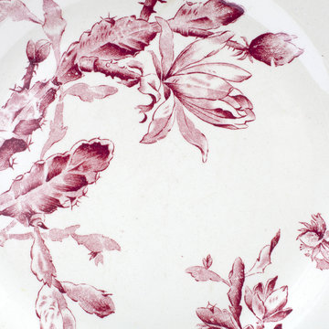 France. Brocante, Assiette en porcelaine opaque de Gien, d&eacute;cor floral mod&egrave;le cactus rose, fin 19&egrave;me