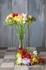 Bouquet of freesia flowers.
