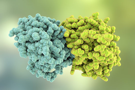 Kinesin Images – Browse 52 Stock Photos, Vectors, and Video | Adobe Stock