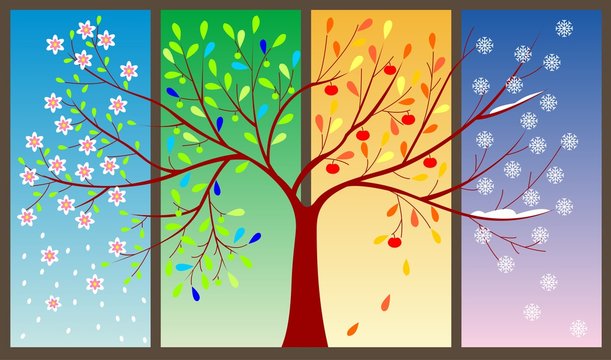 Tree during four seasons concept - vector illustration