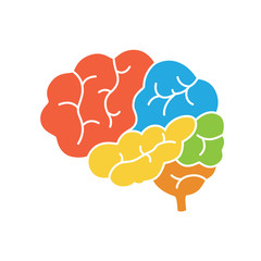 A diagram of the human brain side view, anatomy. Vector illustration in flat design style
