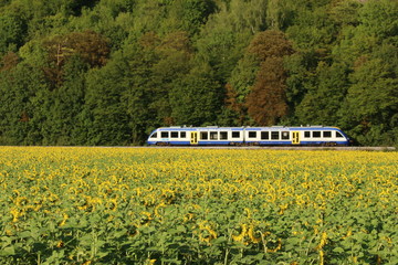 Ein Zug und ein Sonnenblumenfeld im Sommer