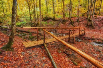 Autumn landscape - wooden bridge in the autumn park