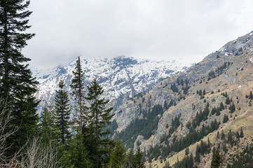 Vanoise National Park