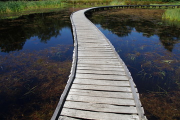 Peaceful path of life - mindfulness tranquility