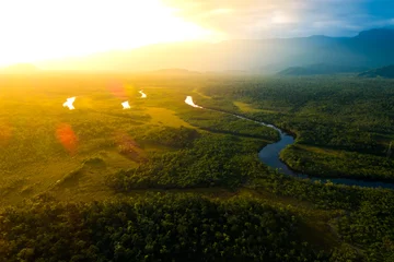 Foto op Canvas Amazon Rainforest in Brazil © gustavofrazao