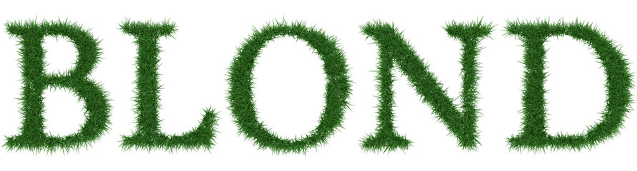 Blond - 3D rendering fresh Grass letters isolated on whhite background.