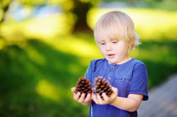 Cute little boy playing with two big pine cones outdoors