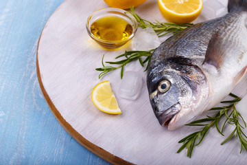 raw sea bream fish
