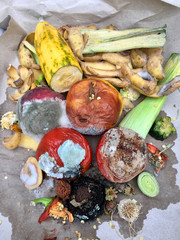  Verschimmeltes Obst und Gemüse auf grauem Papier