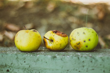Three rotten apples