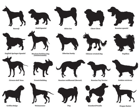 Set of dogs silhouettes-3