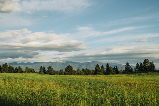 Green field in a valley between mountains.