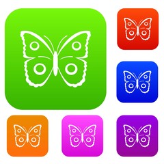 Butterfly peacock eye set collection