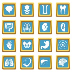 Human organs icons azure