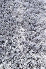 Carpet tuxtured detail close up photography, surface abstract background