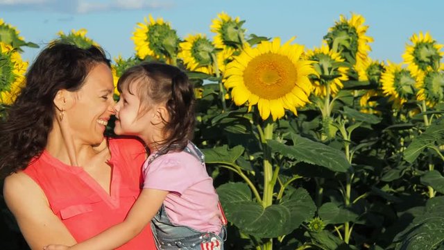 Happy family in sunflowers. Mom and child are playing in sunflowers.