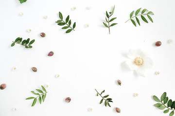 Floral frame with flower buds, green leaves, branches on white background. Flat lay, top view.