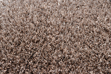 Light brown carpet tuxtured detail close up photography, surface abstract background