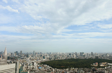 日本の都市風景「渋谷区（明治神宮や代々木公園方向）や港区などのビル群を望む）