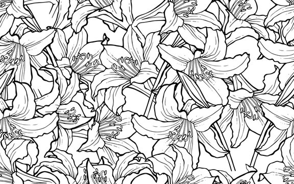 Seamless background with flowers Lilies. Floral design for fabric, greeting cards, Wallpaper, wrapping paper, clothing, wedding invitation, flower shops. Vector illustration.
