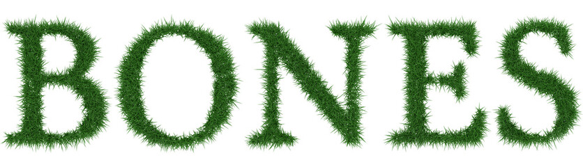 Bones - 3D rendering fresh Grass letters isolated on whhite background.
