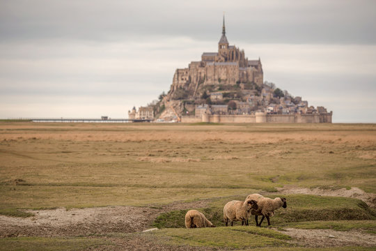 La Rive, Mont Saint Michel, Manche departement, Normandy, France