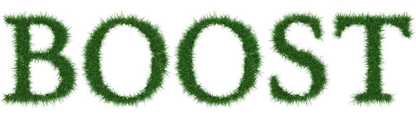 Boost - 3D rendering fresh Grass letters isolated on whhite background.
