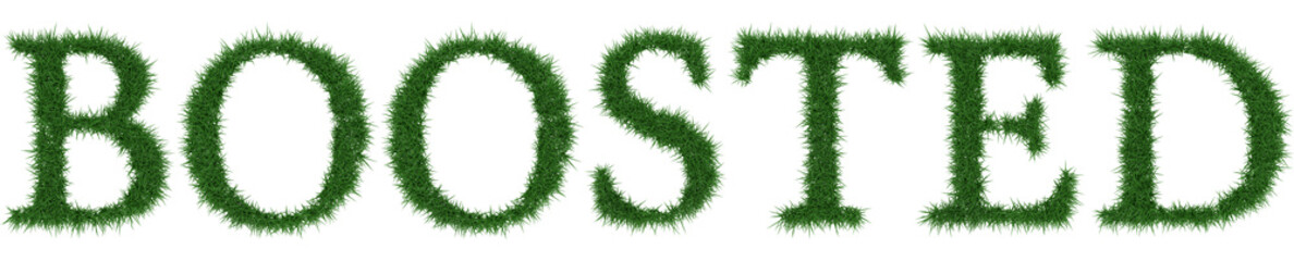 Boosted - 3D rendering fresh Grass letters isolated on whhite background.
