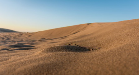 Close up de arena en las dunas de maspalomas 