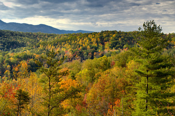 Fototapeta premium Autumn view on Cherohala Skyway in North Carolina, USA