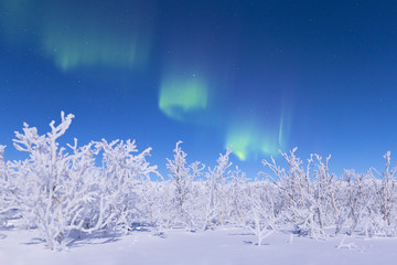 Scenic view of snowy landscape against Aurora Borealis