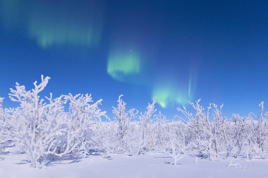 Scenic view of snowy landscape against Aurora Borealis