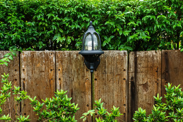Old brown wood with lamp and tree background.