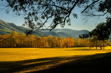 Cades Cove in Late October