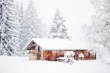 Tiefeingeschneite Holzhütte in der Schneelandschaft im Waldgebiet, Flims