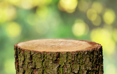 Tree trunk background