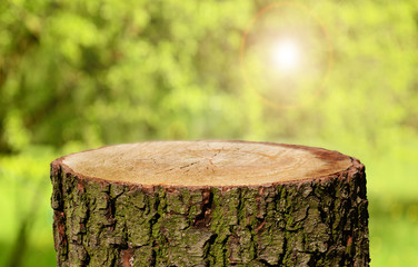 Tree trunk background