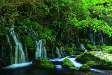 夏の元滝伏流水