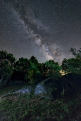 Milky Way arch over olive trees