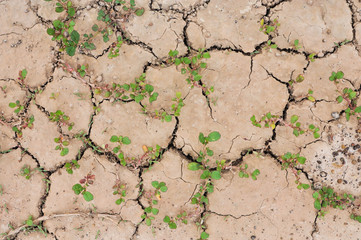 Dried cracked earth soil ground texture background
