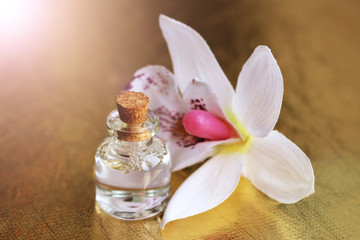 bottle of essential oil and orchid flowers