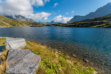 Obraz premium san bernaerdino