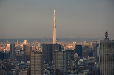 日本の東京都市景観・夕日をあびる街並み（墨田区方面などを望む）